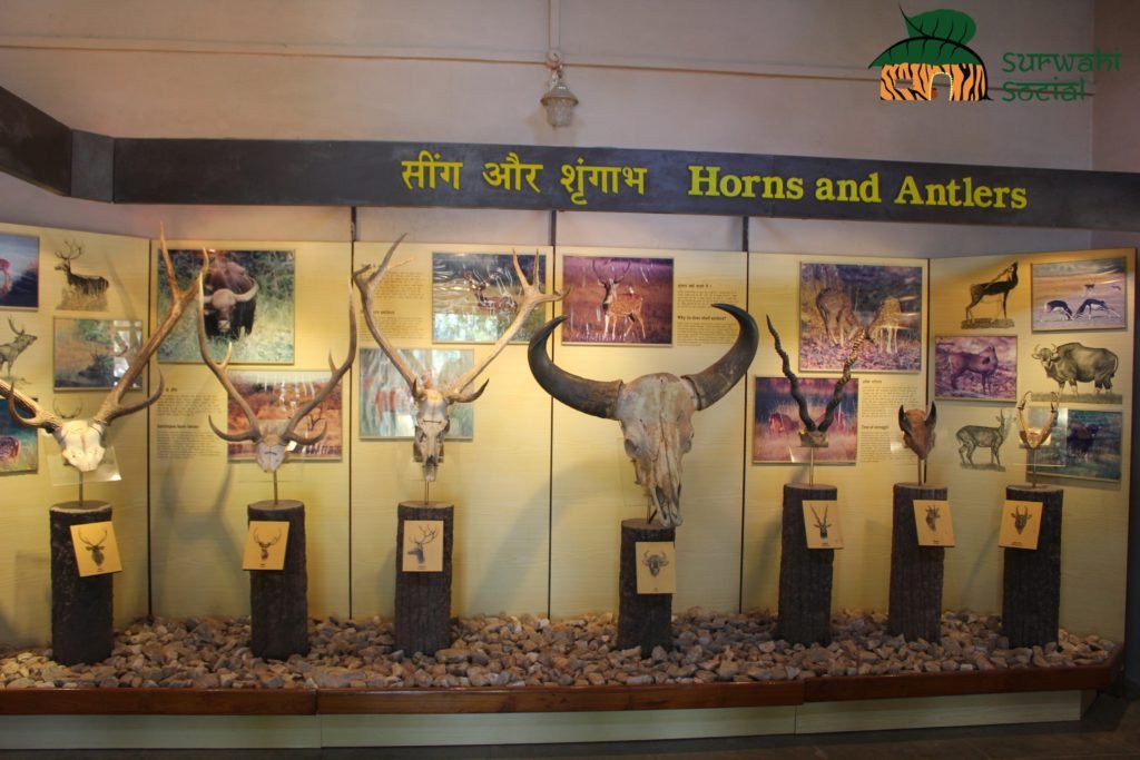 Kanha Museum