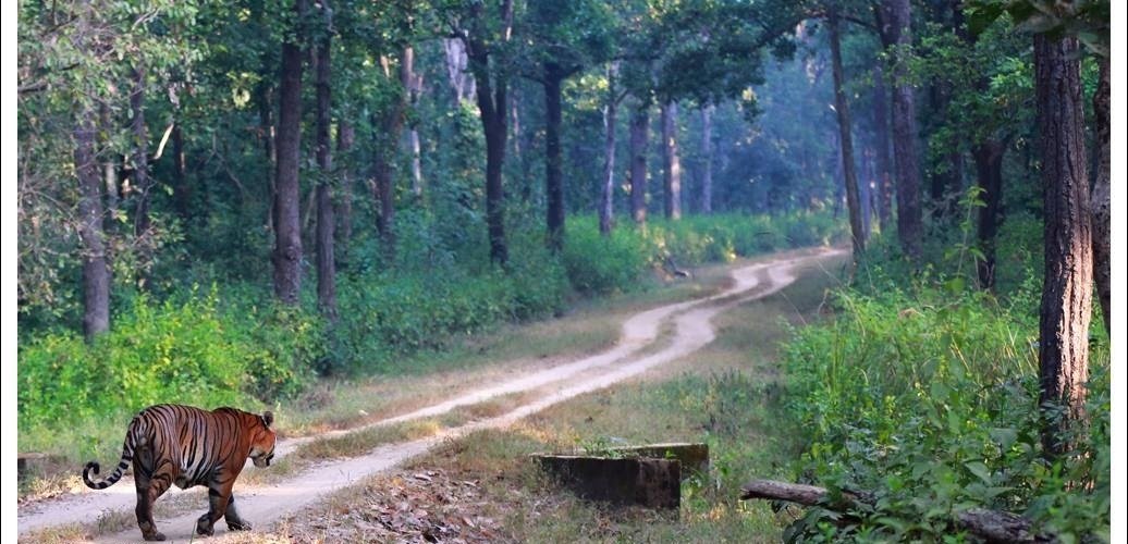 Kanha National Park